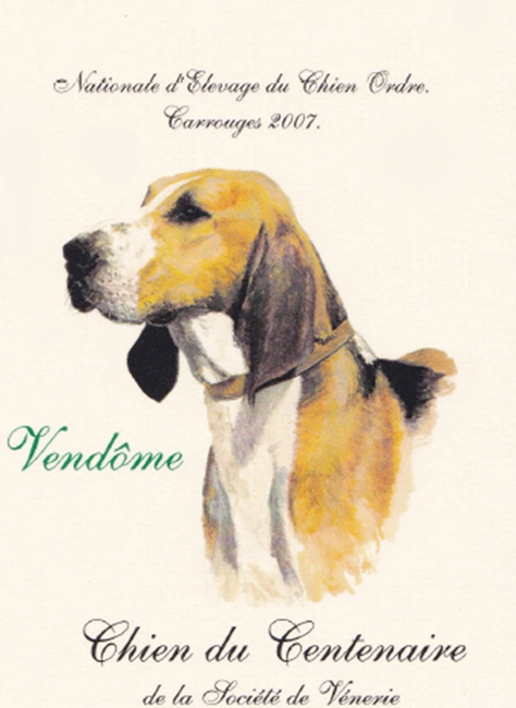Vendôme, chien du Centenaire - Par Catherine Noël - Archives de l'équipage - Don à la Société de Vènerie